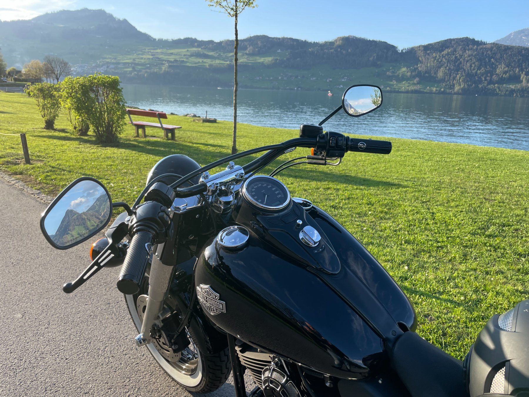 Harley-Davidson Chopper: HARLEY-DAVIDSON FLS Softail Slim ABS – Usato da Stans venduto da ADC_1 5
