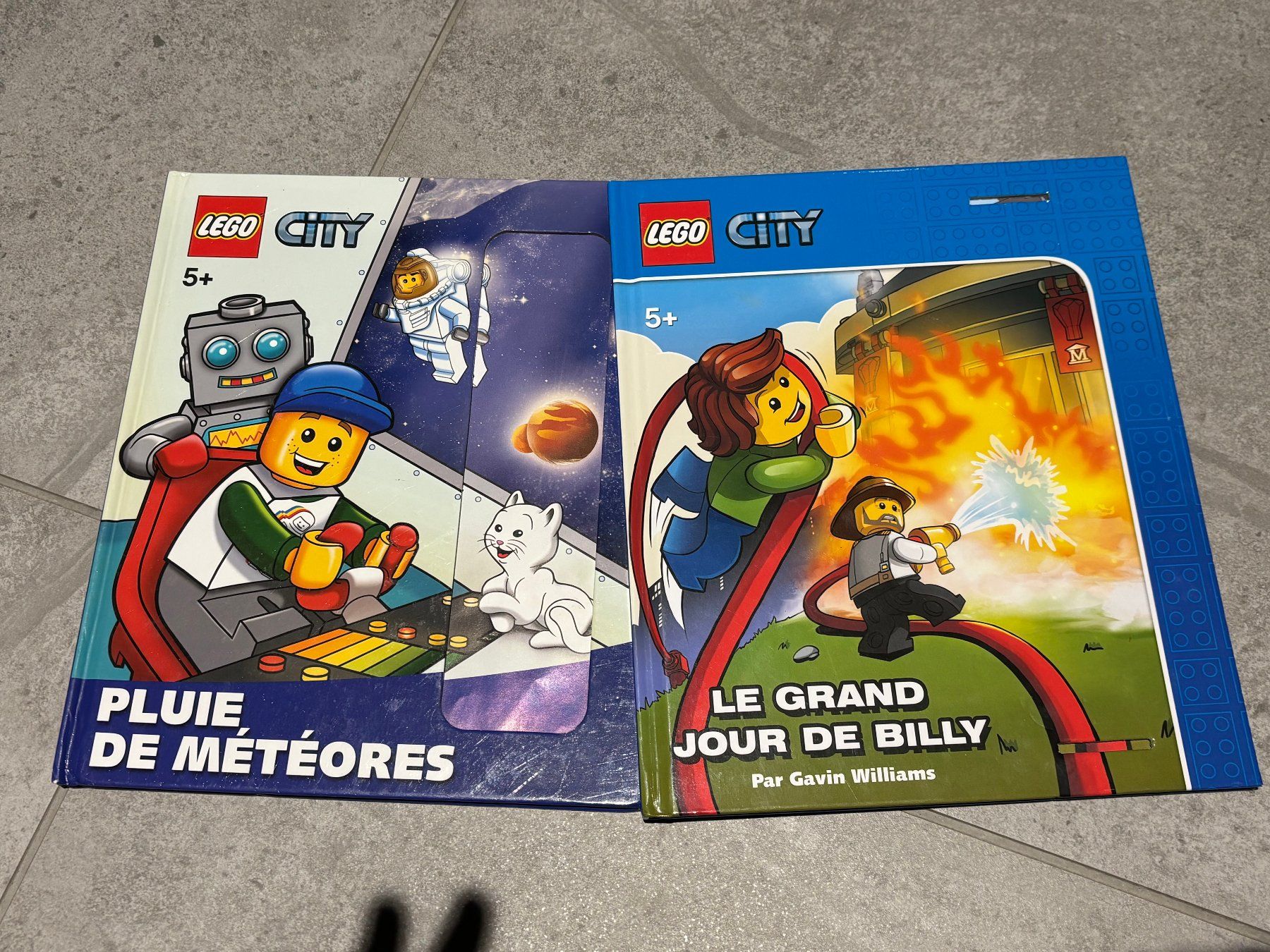 Libri: 2x livre enfant Lego – Usato da Salvenach venduto da gwenwywar