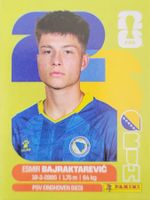 Panini FIFA World Cup BIH 15