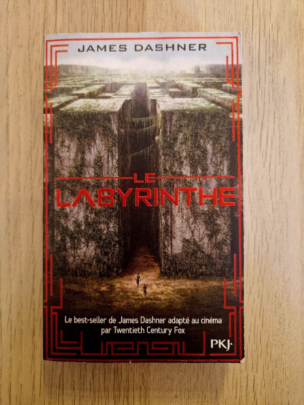 Bücher: Le Labyrinthe – Gebraucht aus Châtonnaye von Lyoko02