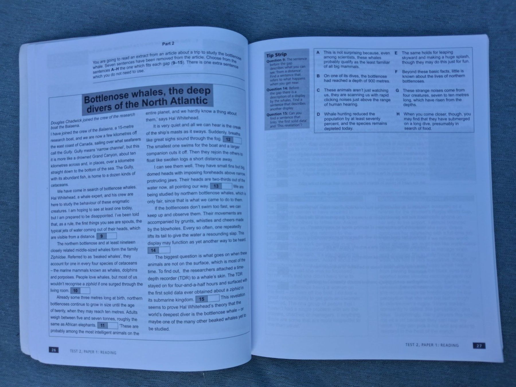 Bücher: First Certificate - New edition Practice Tests - Plus with k – Gebraucht aus Fully von Minouchka 4