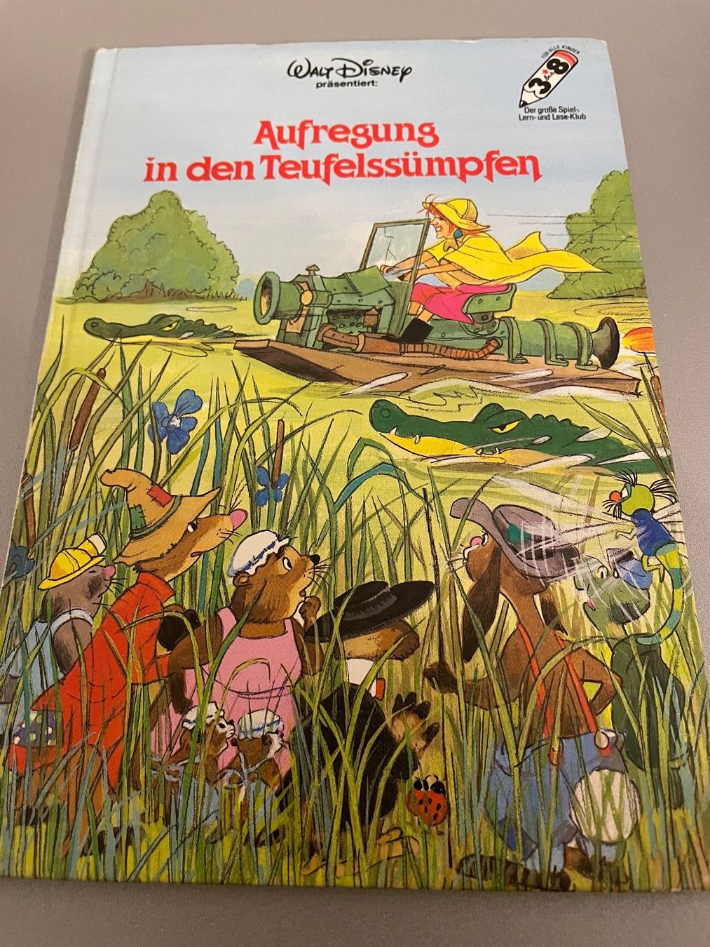 Libri: Disnye Bücher – Usato da Chur venduto da Tsambiko 4