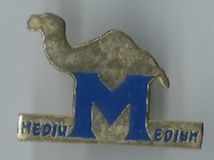 Placchette & Badge: Medium Camel Zigaretten Pin – Usato da Zürich venduto da t24_de