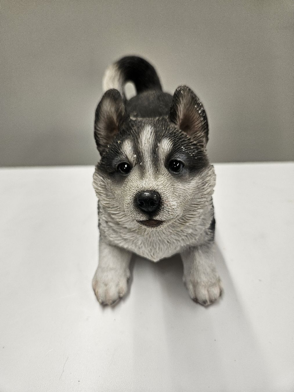 Statuette: Baby Husky 18cm x 15cm – Nuovo (secondo la descrizione) da Dielsdorf venduto da Kenan997