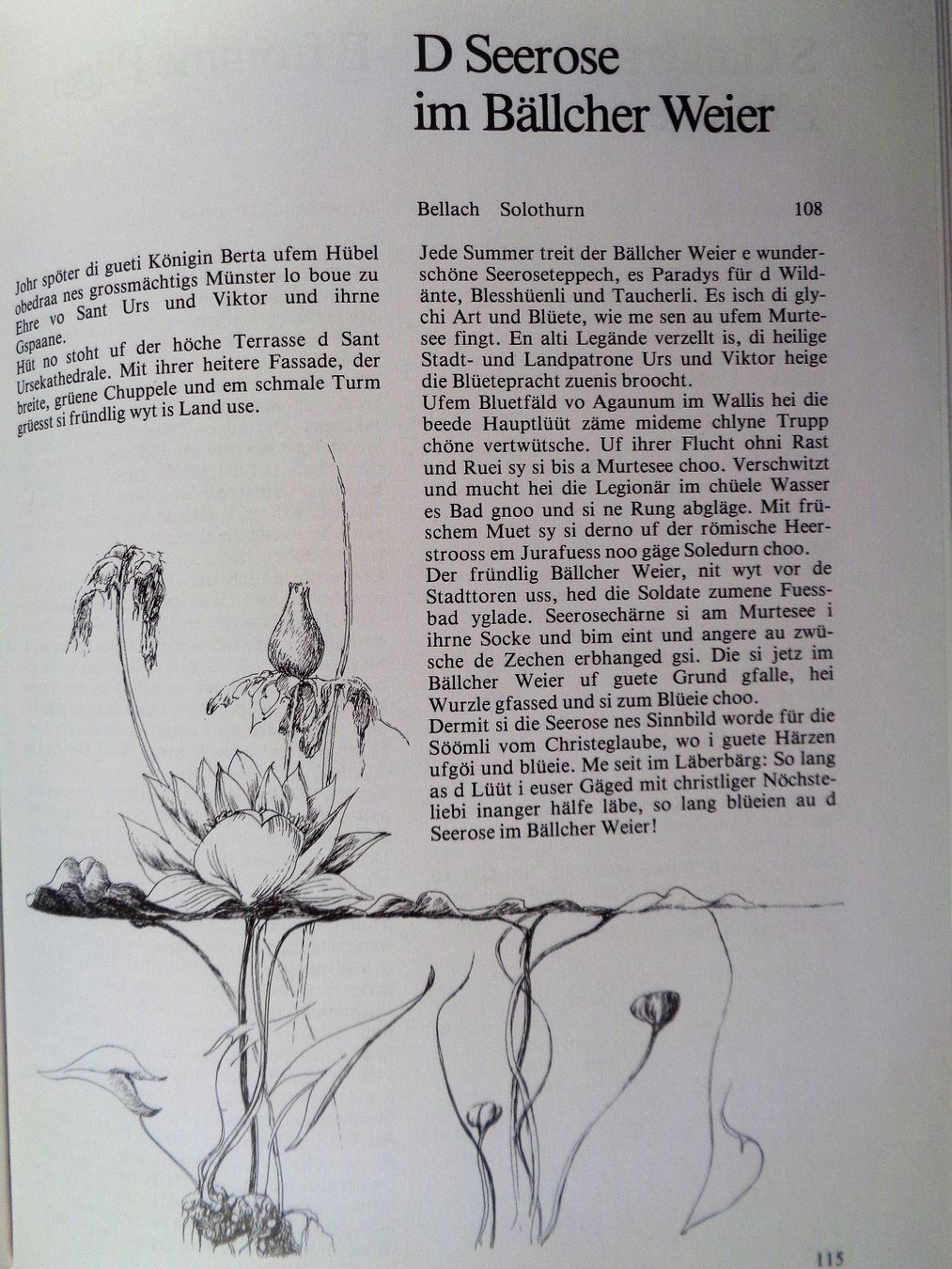 Libri: Solothurner Geschichten - E. Pfluger / Solothurn Buch – Usato da Bellach venduto da JingleJerry 6