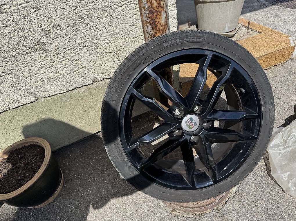 Cerchioni: Autofelgen Seat Leon – Usato da Heimberg venduto da s1u_7ms9 2