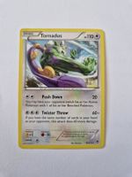Tornadus- Furious Fists - EN 