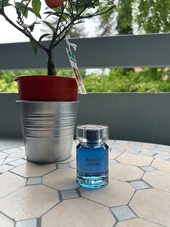 Profumi & Eau de Toilette: Karl Lagerfeld BOIS DE CÈDRE EdT 50ml  – Usato da Suhr venduto da a_tec 1