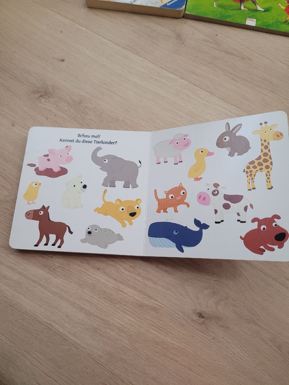 Livres: interaktives Buch Tierkinder 18 Monate – D'occasion à Lupsingen par sta_wgg5 6