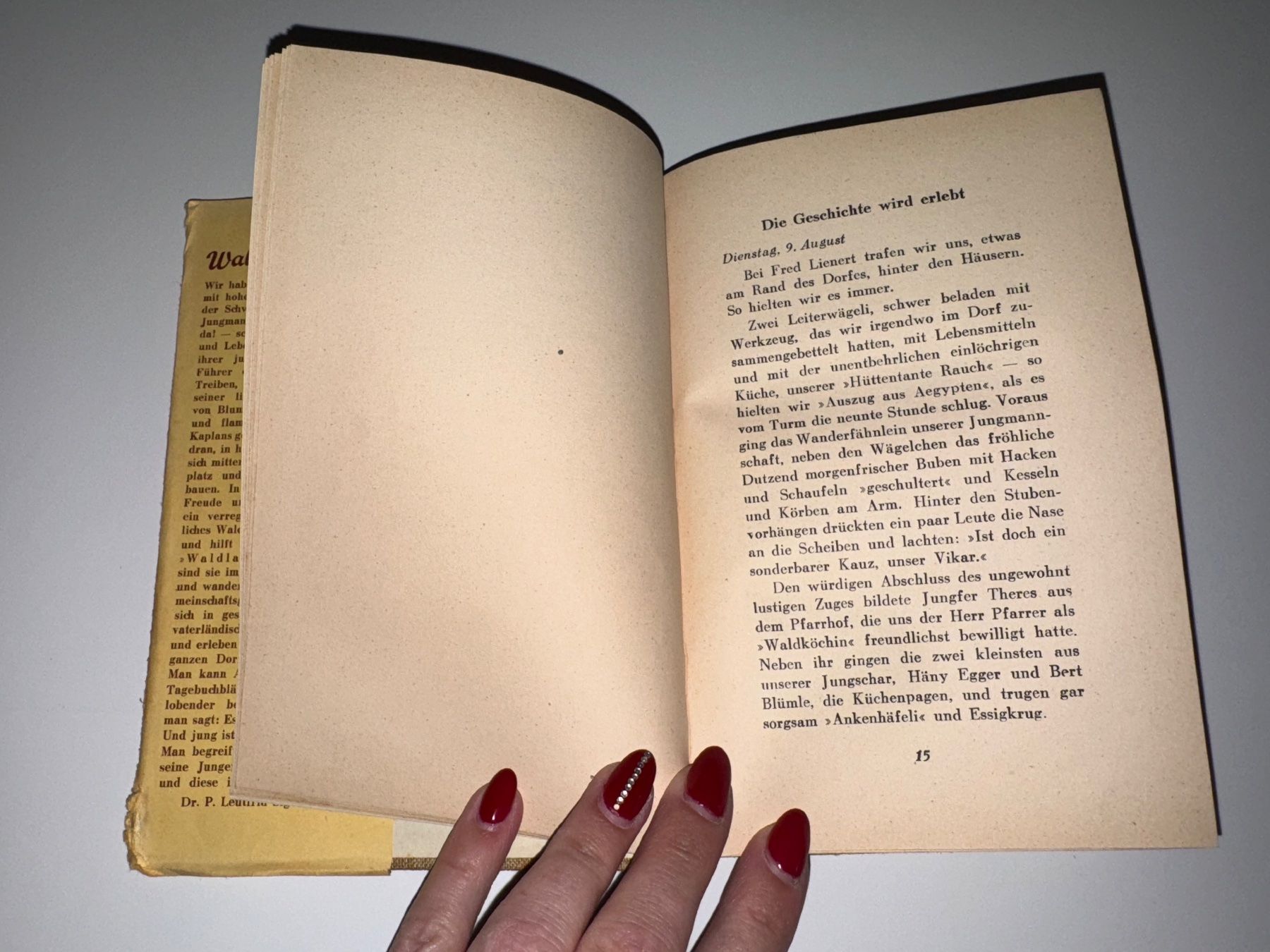 Libri: BUCH: Josef Konrad Scheuber, Waldbuben – Usato da Grosswangen venduto da Second_hand_paradise 5
