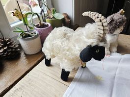 Steiff Snucki