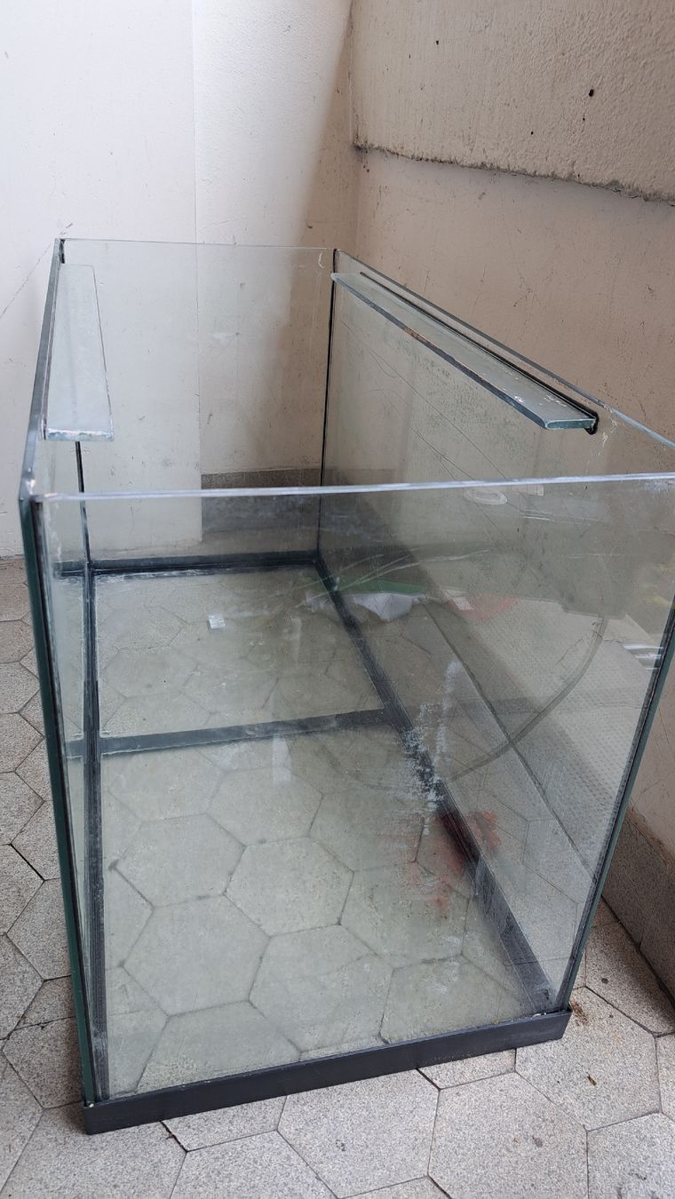 Acquari: defektes gebrauchtes Aquarium mit Abdeckung und Beleuchtung  – Difettoso da Riehen venduto da Chimpara 2