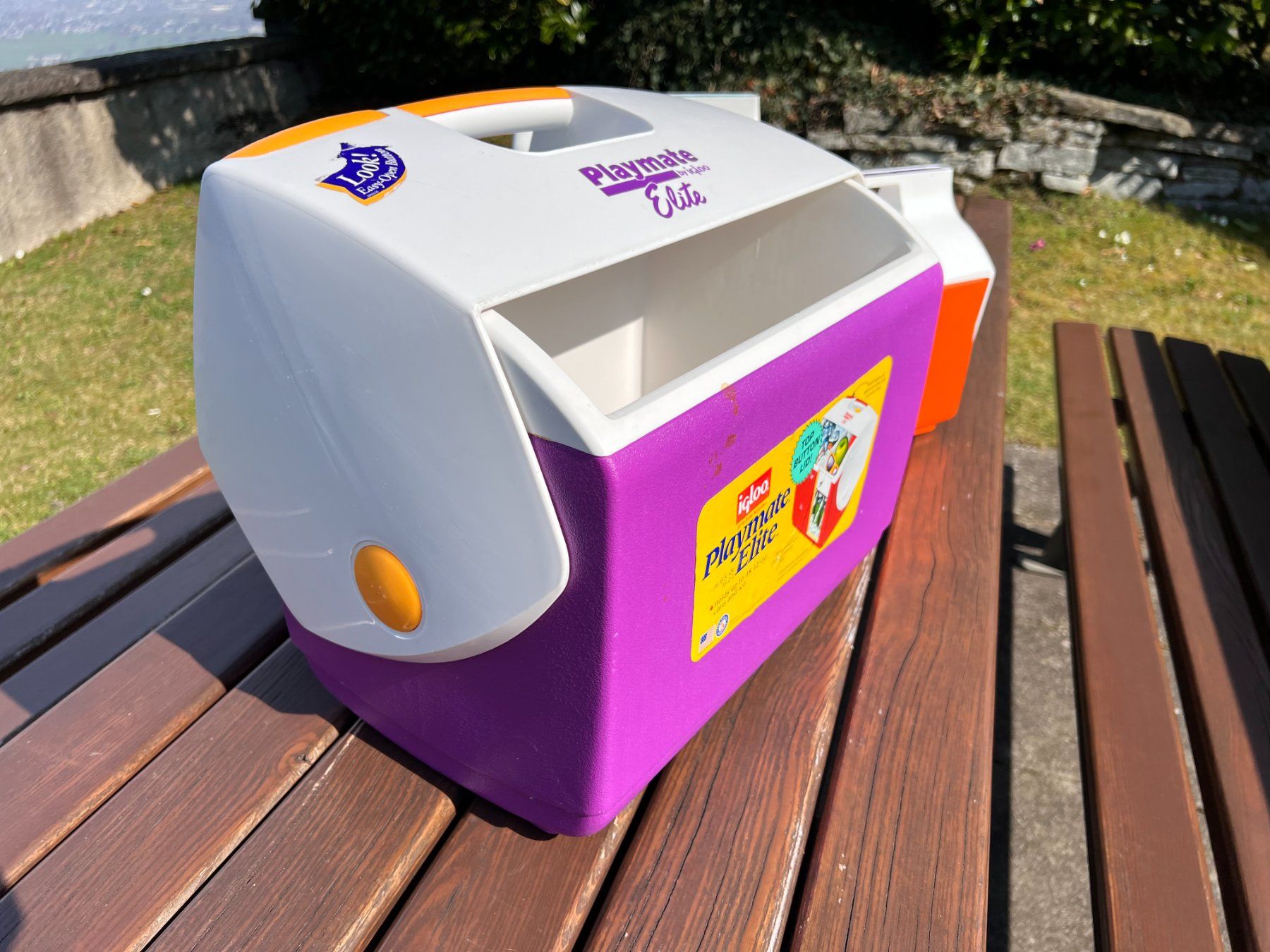 Frigoriferi & Refrigeratori: Vintage Playmate Elite by Igloo I Kühlbox – Usato da Walzenhausen venduto da stilvollwohnen 8