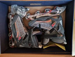 FILA Inlineskates / Rollschuhe Grösse 43