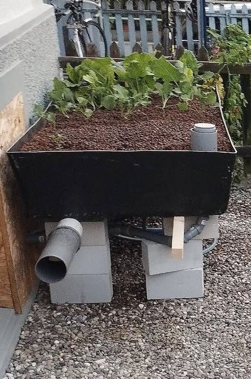 Auflagenboxen: Aquaponik - das komplete System – Gebraucht aus Olten von biber10