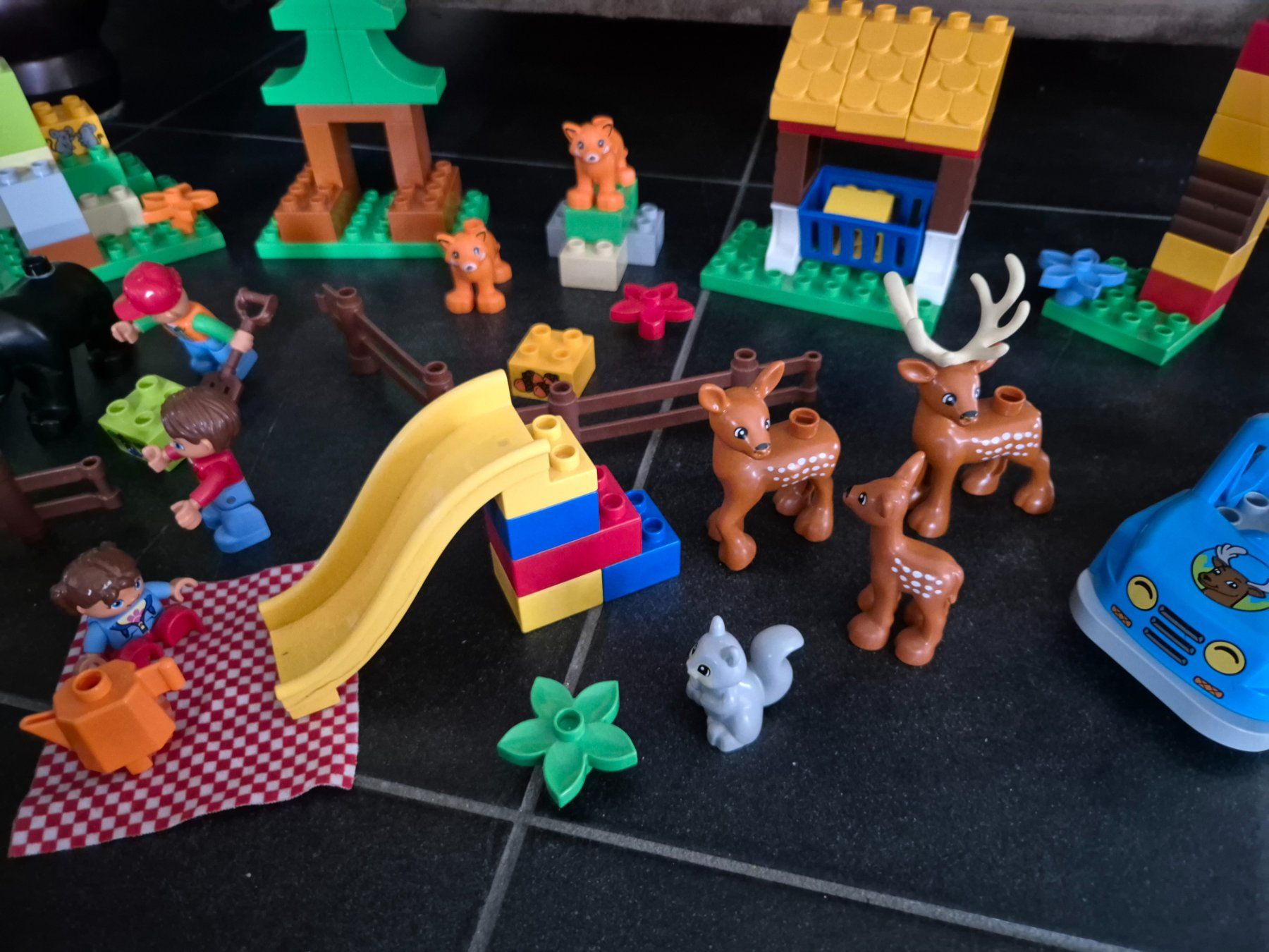 Giocattoli: Lego Duplo Set Wildpark (1000) – Usato da Münchwilen TG venduto da VT-Trader 2