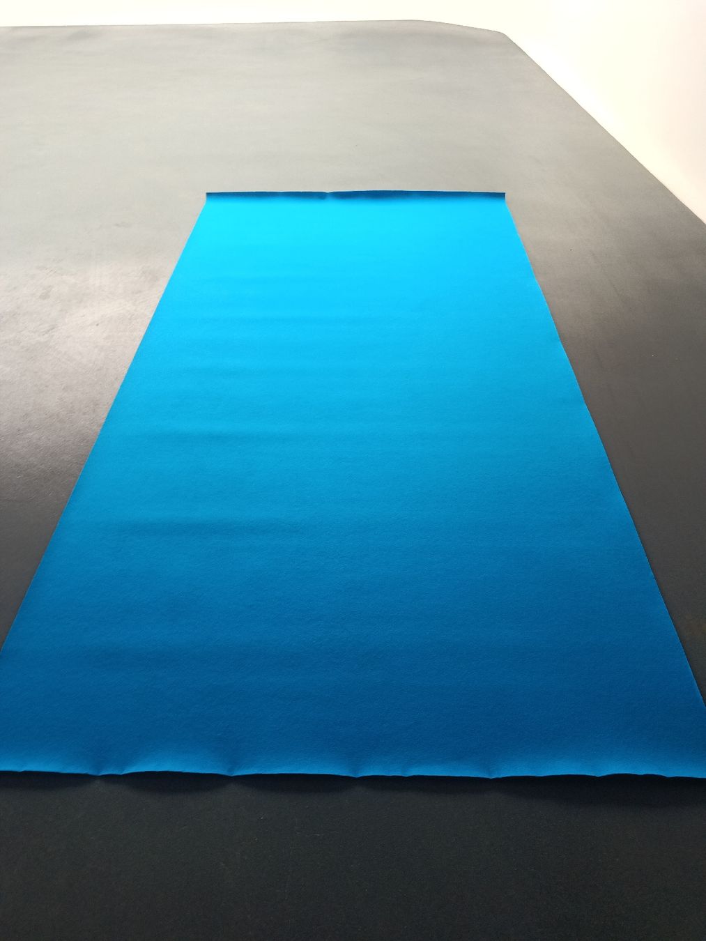 Tappeti: Dünner Blauer Teppich 3,8m x 2m – Usato da Safenwil venduto da mar_tbk5 1
