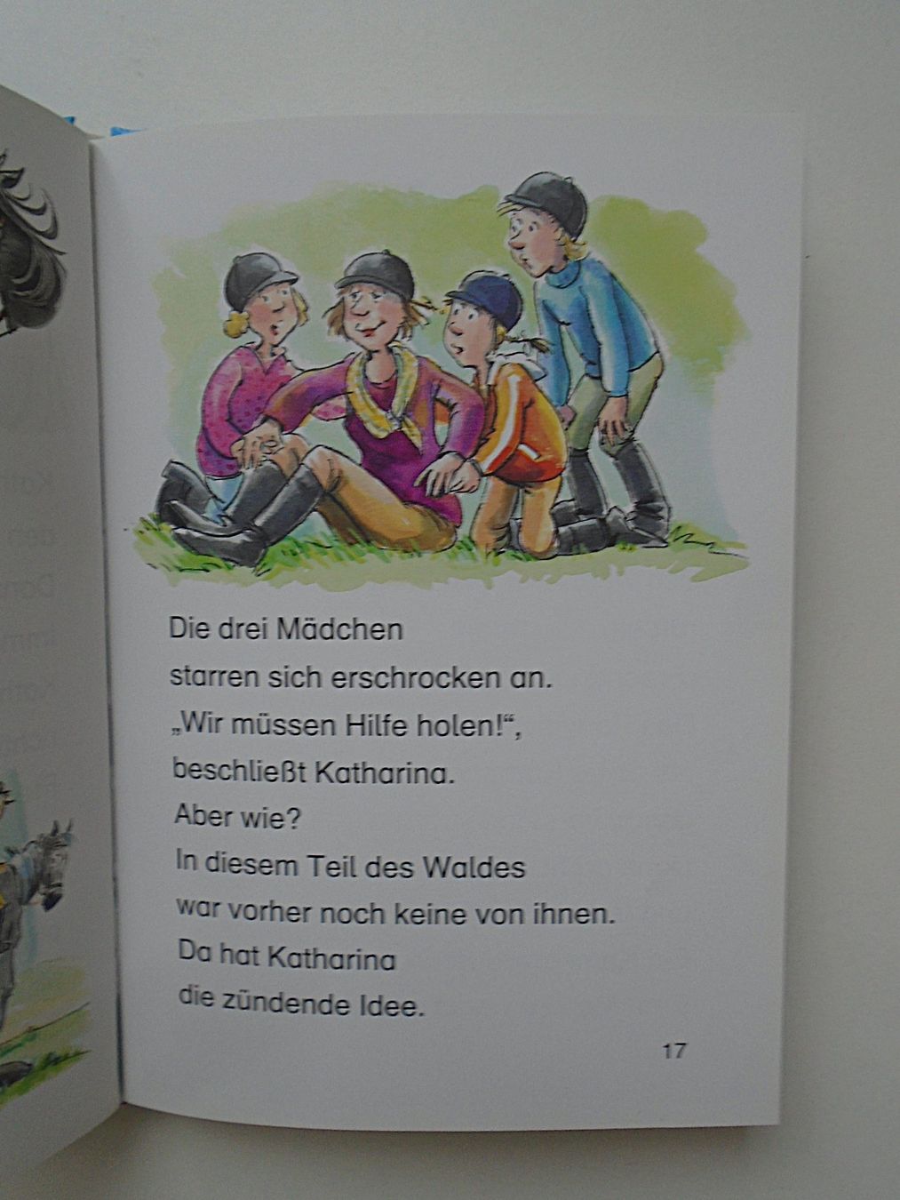 Bücher: Ponyhof-Geschichten: das Sommerfest +Thilo – Gebraucht aus Pfeffingen von Intertandem 1