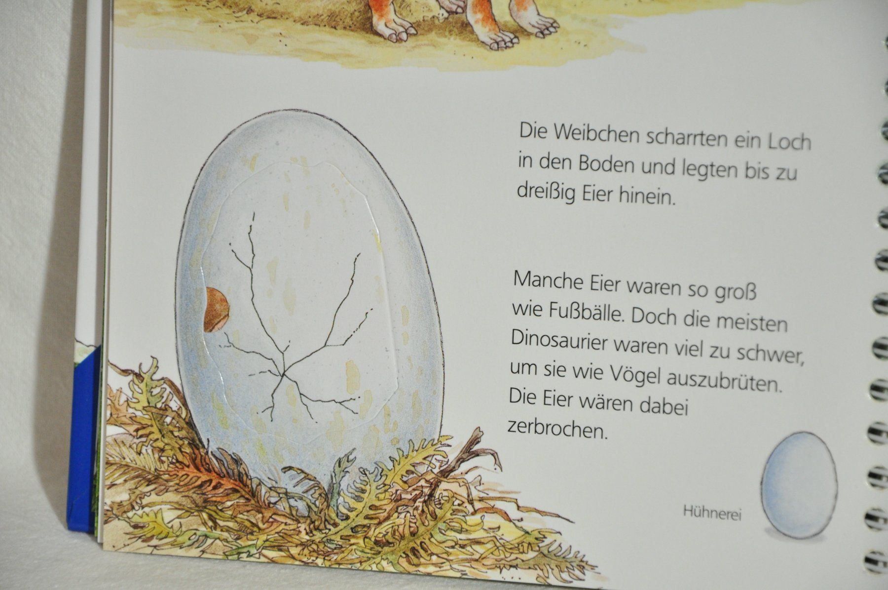 Bücher: Wieso Weshalb Warum? junior: Dinosaurier – Gebraucht aus Lustmühle von Glatisant 5