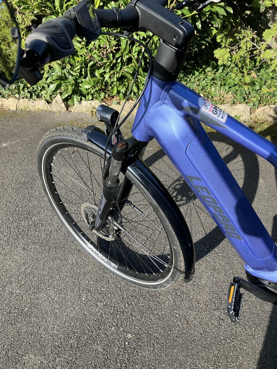 Leopard Biciclette: Vélo électrique Léopard Bosch – Usato da Penthalaz venduto da isa_kd78 5