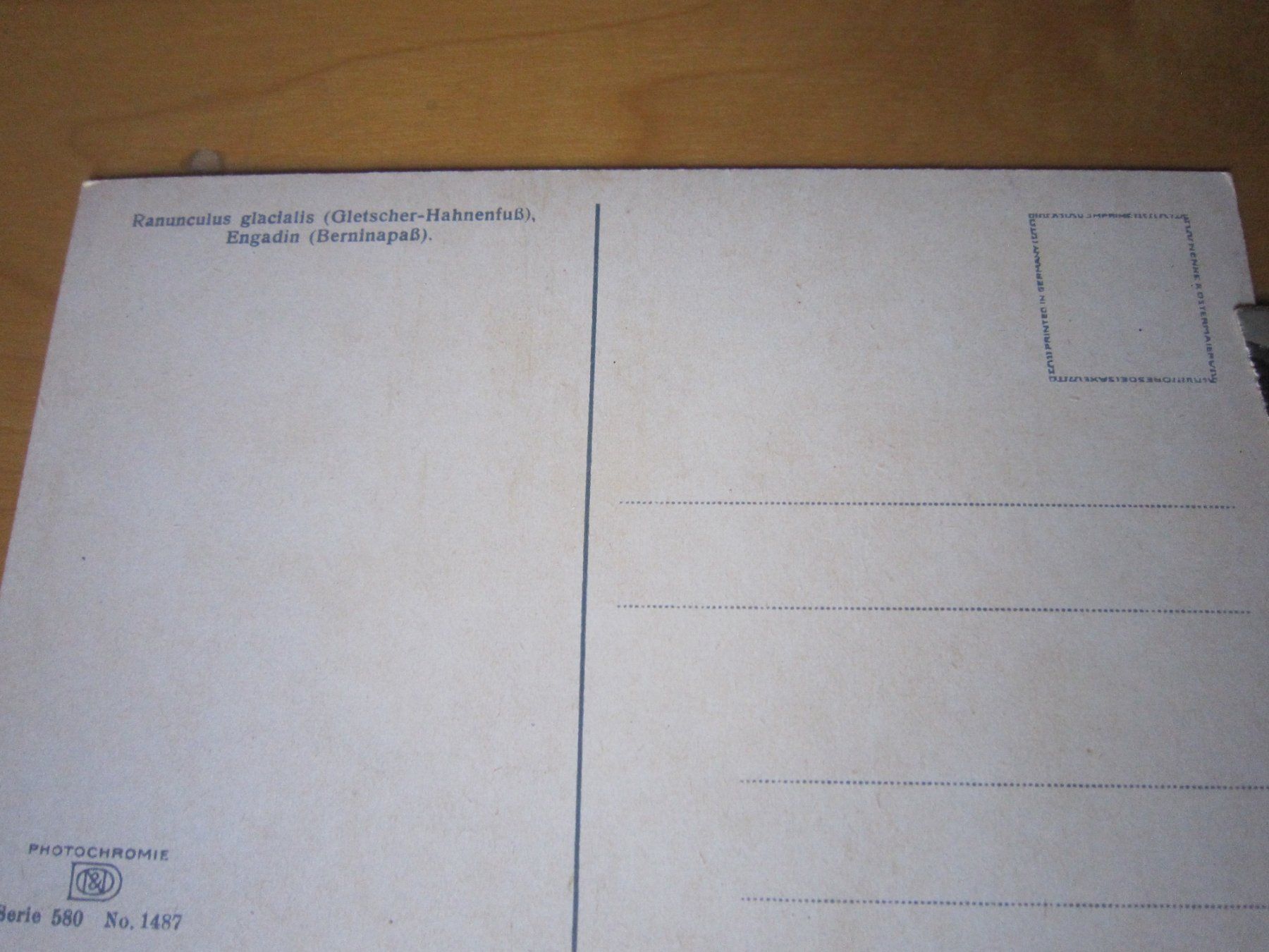 Cartoline postali: No 11 schöne Postkarten Gletscher – Usato da Gordola venduto da Polentaefung 4