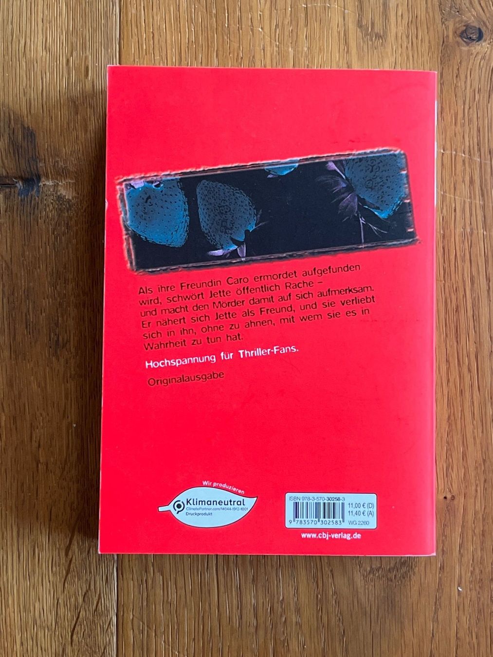 Libri: Der Erdbeerpflücker - Monika Feth – Usato da Richterswil venduto da tilodecooli 1