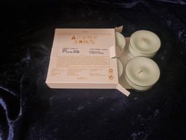 PartyLite - 4 Maxi-Teelichter Zitronella-Minze