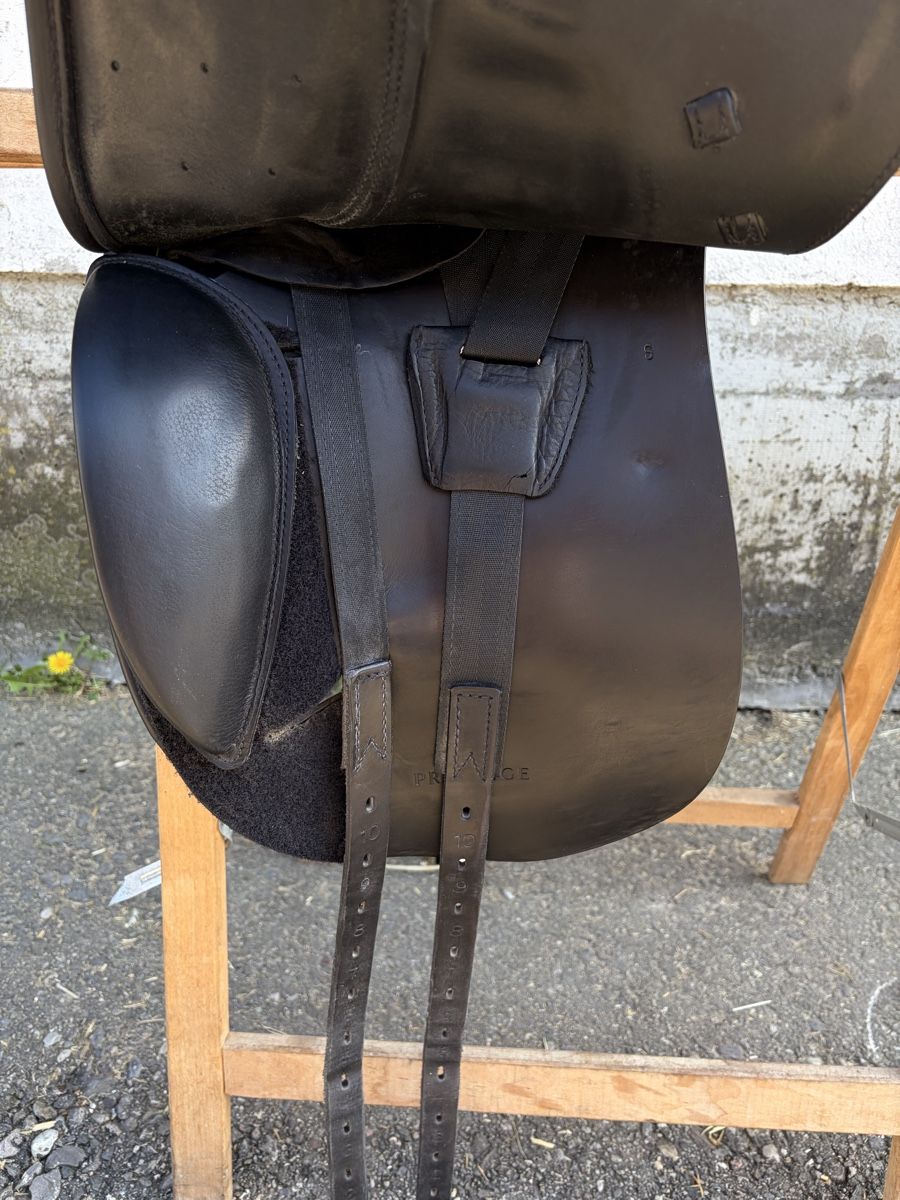 Sattel & Sattelzubehör: Dressursattel Prestige Venus – Gebraucht aus Bottmingen von chl_87yv 3