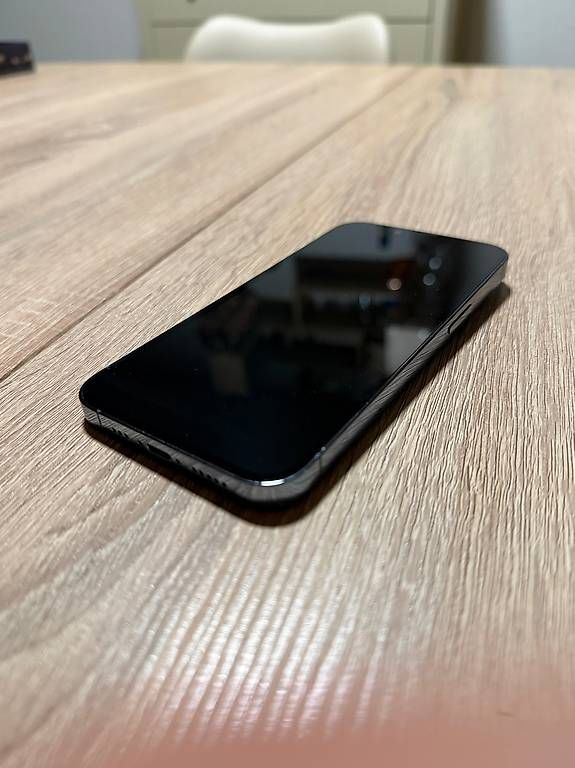 Apple Telefoni cellulari / Smartphones: Iphone 13 Pro 128GB – Usato da Wallisellen venduto da manuthekid