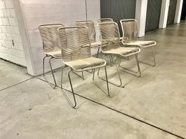 Montana Panton One