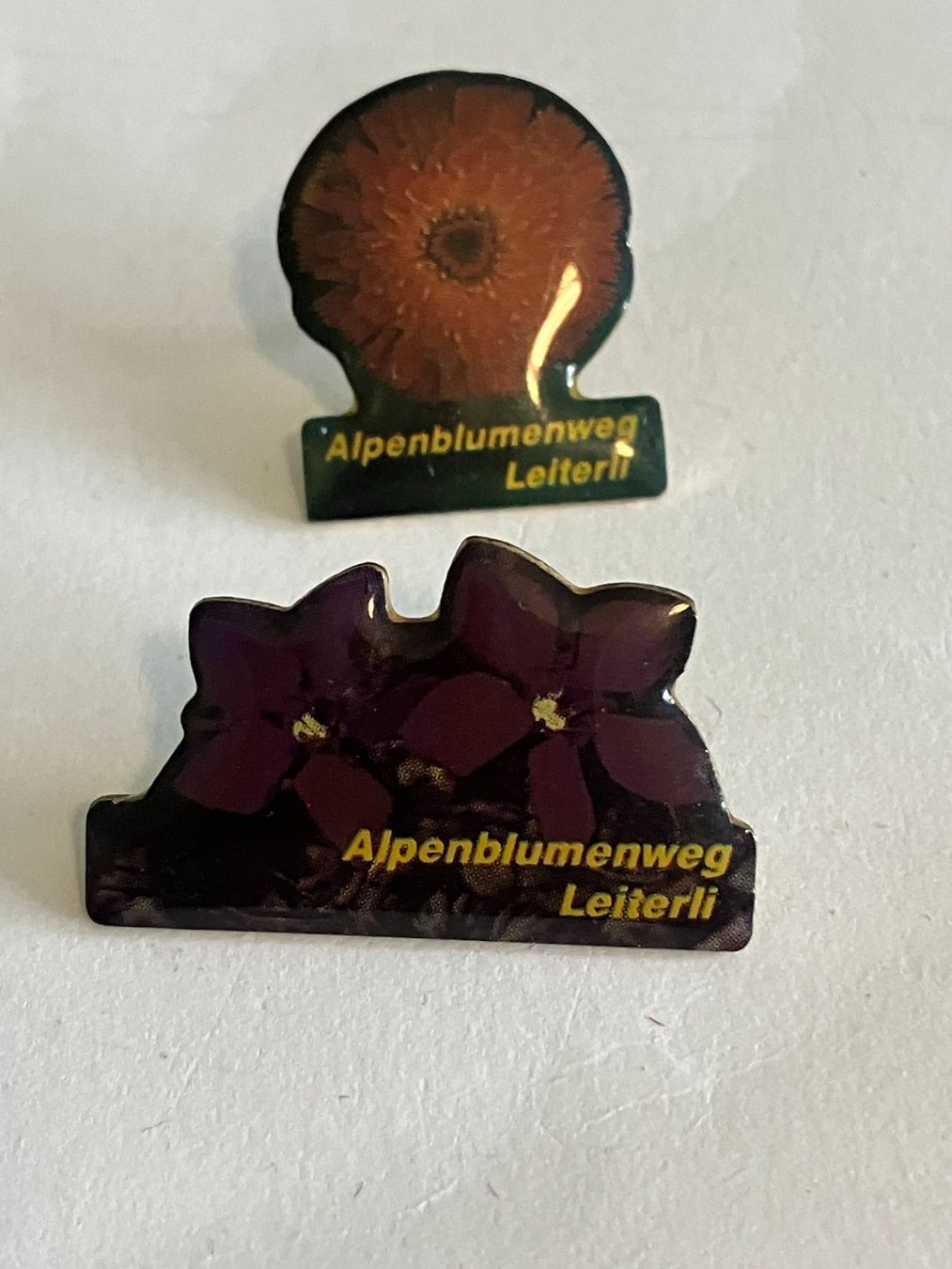 Placchette & Badge: 2 Pin Alpenblumenweg Leiterli – Usato da Basel venduto da djwwpp