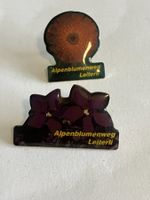 2 Pin Alpenblumenweg Leiterli