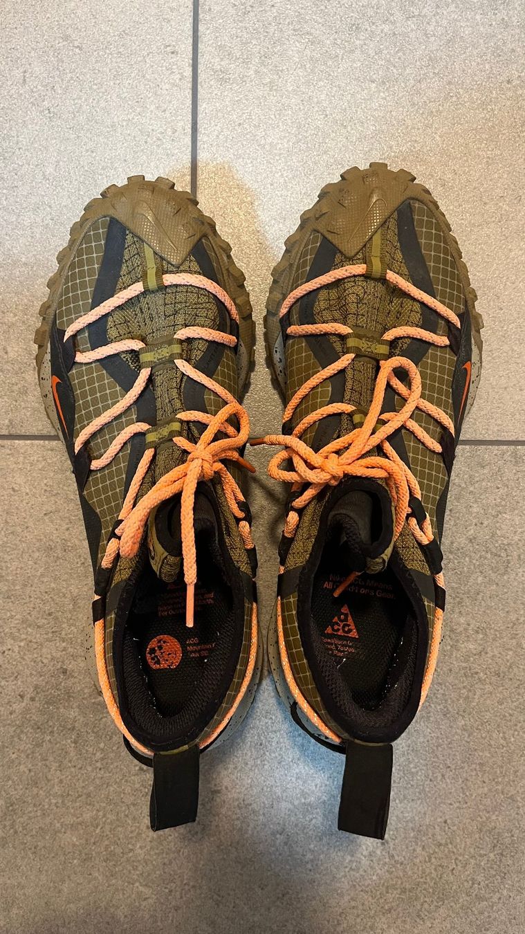 Nike Herrenschuhe: Nike ACG Mountain Fly Low Gore-Tex SE – Gebraucht aus Rorschacherberg von p8edi-
