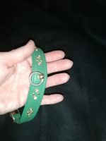 Grünes Hunde Halsband Leder mit Strass, Top Zustand!