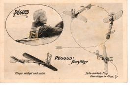 Salto - mortale - Flug - Pilot Pégoud