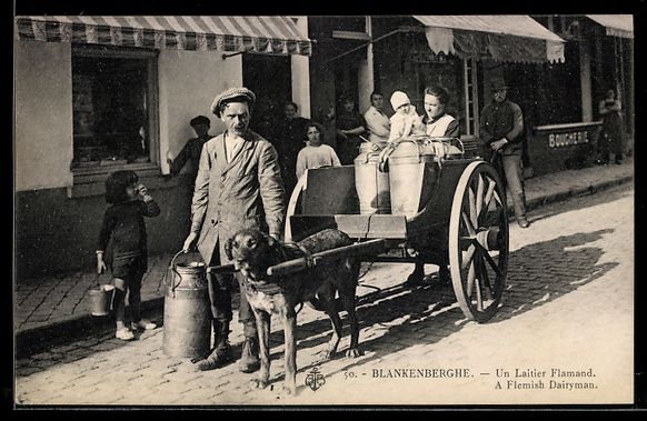 Cartoline postali: Blankenberghe, Flemischer Milchmann mit  – Usato da Berlin venduto da bartko-reher