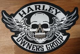 Patch Harley Owners Group 💀 Ailes Tête de Mort J159