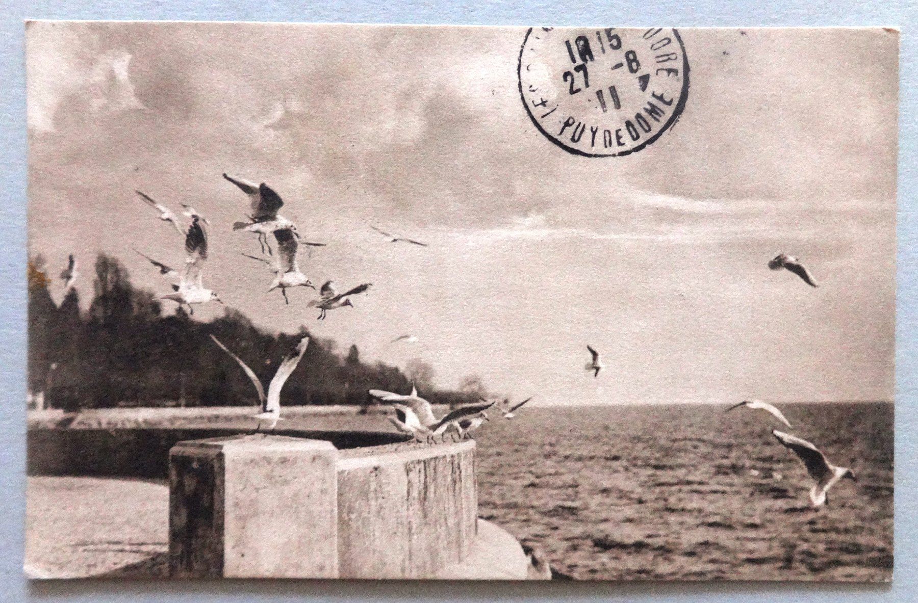 Ansichtskarten: Lac Léman - Les mouettes – Gebraucht aus Fétigny von Billy2miny