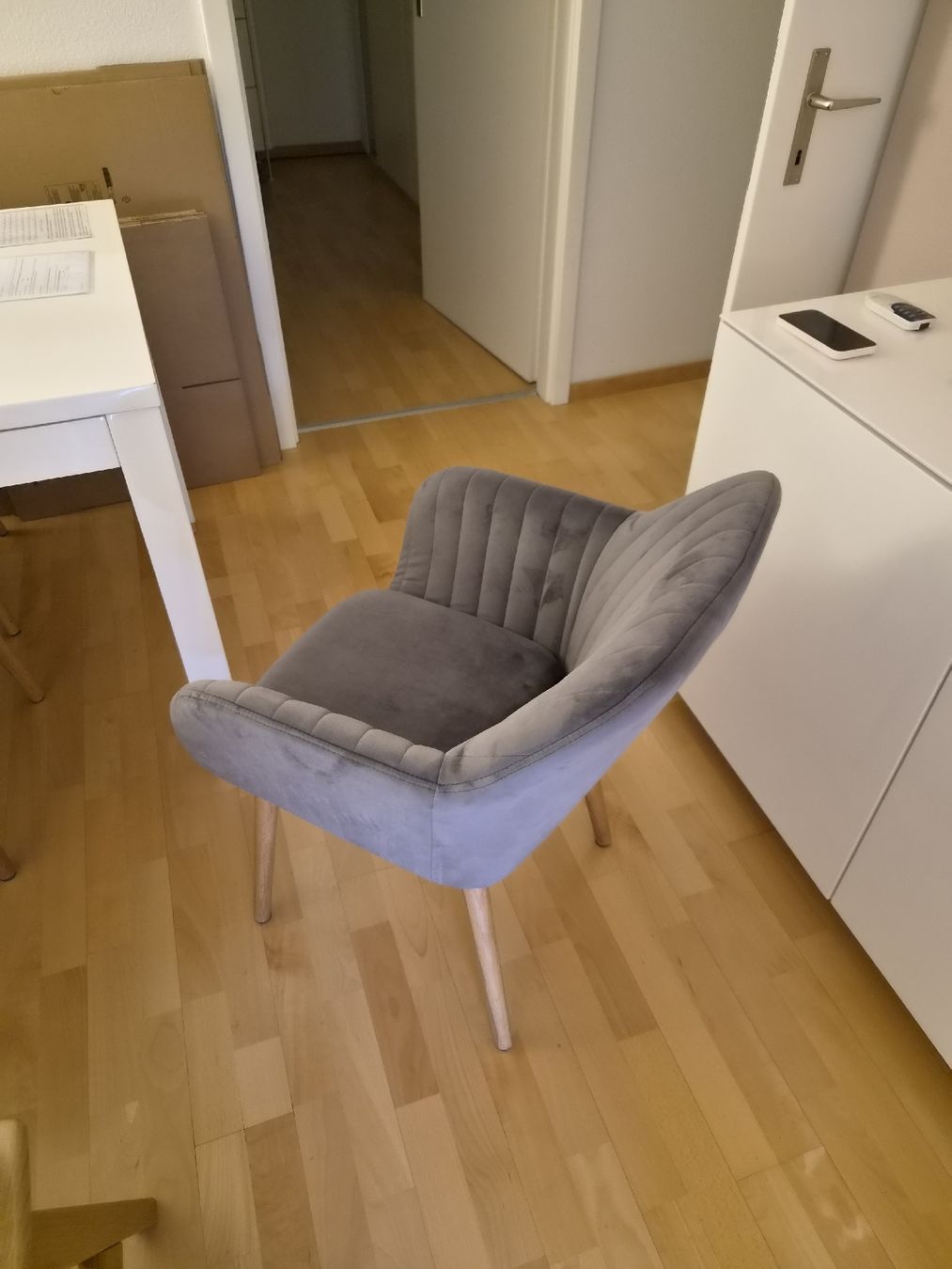 Poltrone: Sessel Samt grau neuwertig 6x – Nuovo (secondo la descrizione) da Zürich venduto da Metin_48 1