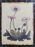 Schönes Blumen Bild auf Blech / Metall