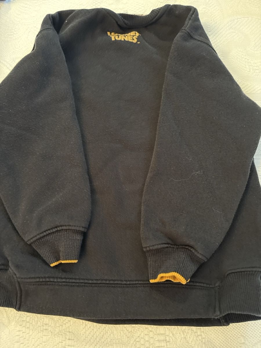 Zara Maglioni & Felpe: Money Tunes Pullover – Usato da Spreitenbach venduto da bea_wrh6 2