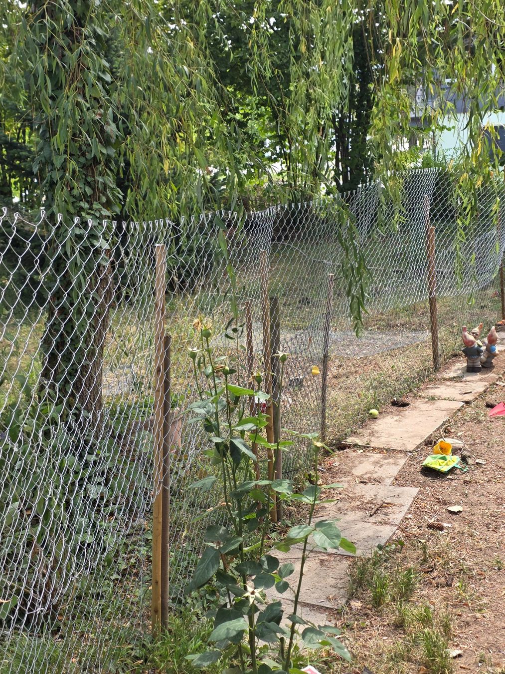 Zäune: Maschendraht zaun – Gebraucht aus Biberist von lea_77s7 1