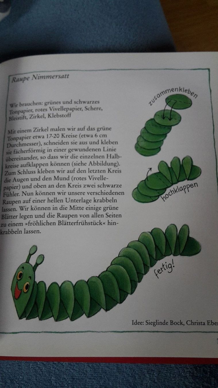 Letteratura per bambini e ragazzi: Buch Fingerspiele – Nuovo (secondo la descrizione) da Spiegel b. Bern venduto da Flamingo07 1