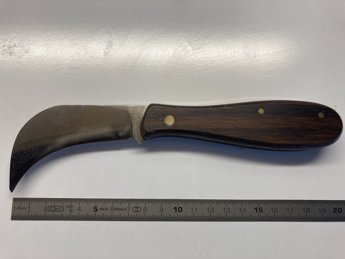 Victorinox Coltelli tascabile: Sackmesser  – Usato da Krauchthal venduto da colligio