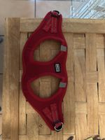 Harnais pour petit chien rouge AniOne  28-32 cm