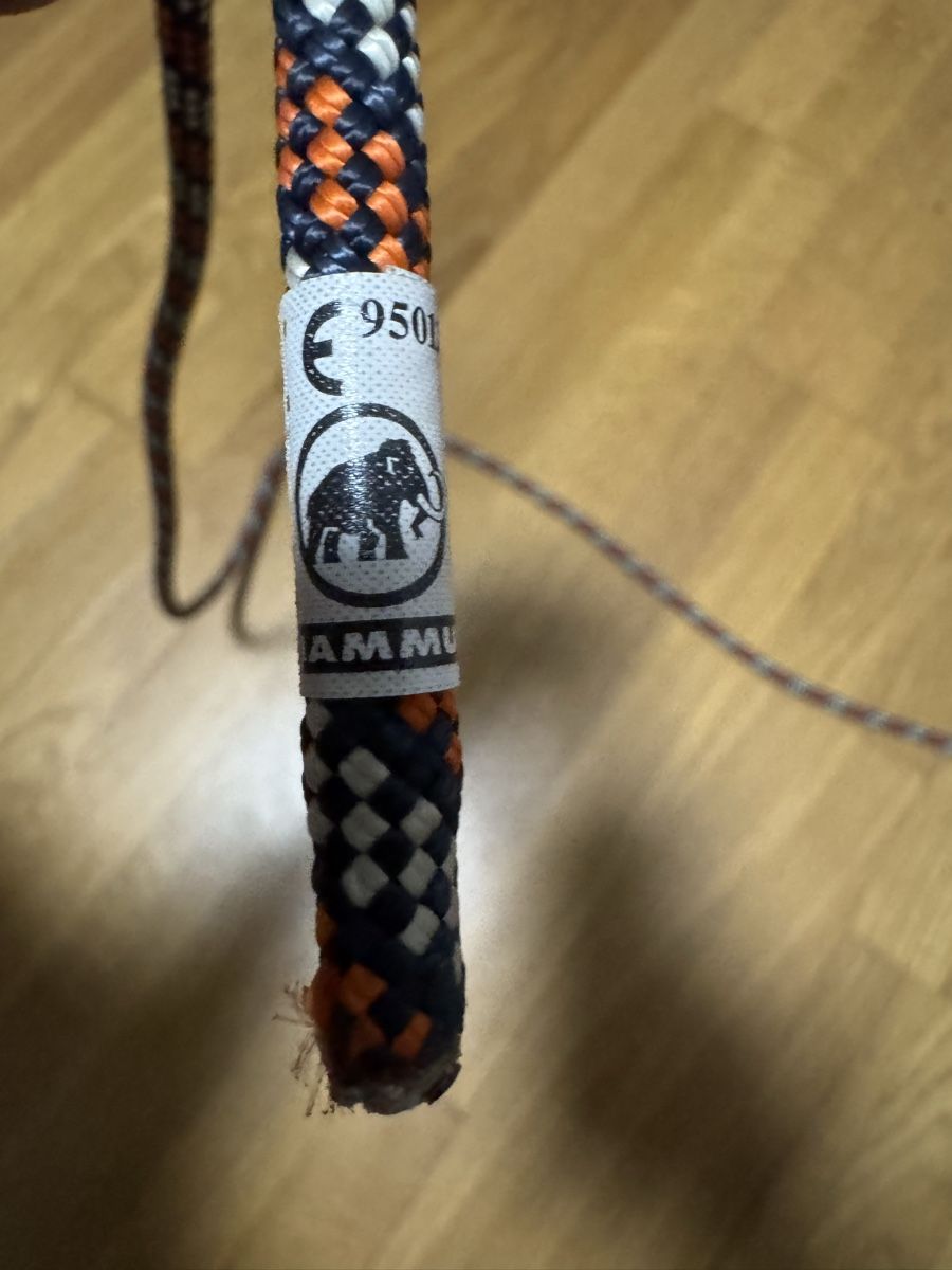 Mammut Attrezzatura da arrampicata: Mammut Kletterseil – Usato da Urdorf venduto da robinson80 2