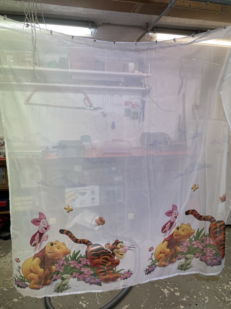 Tende: Kindervorhang Winnie Pooh – Nuovo (secondo la descrizione) da Wichtrach venduto da jessy_di
