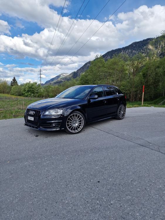 Audi S3 8PA 2.0 TFSI