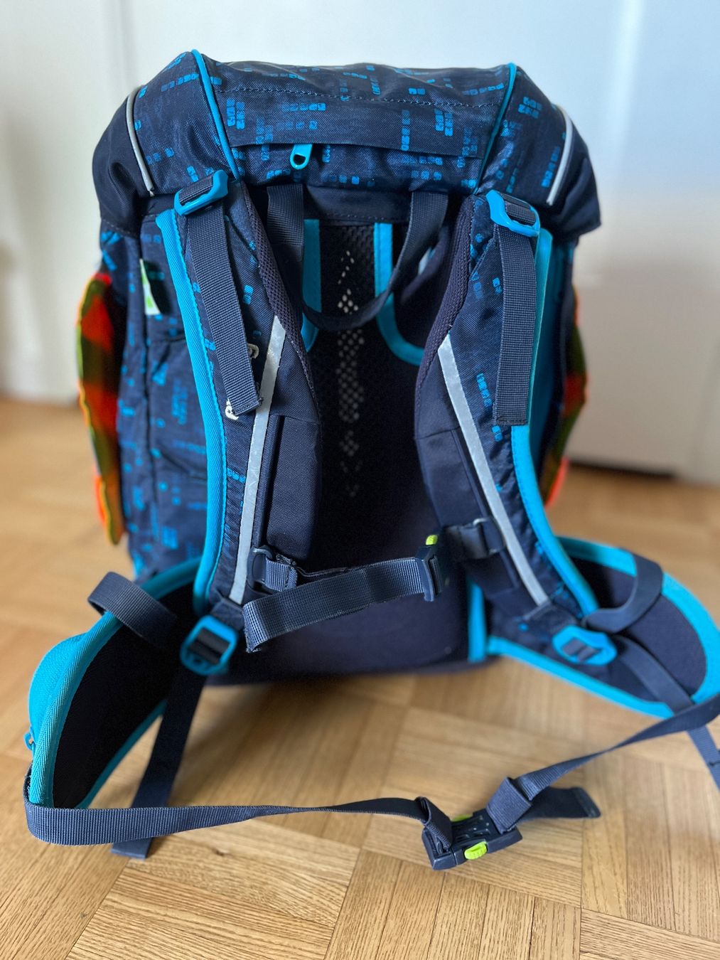 Ergobag Borse & Zaini: Ergobag Schulrucksack – Usato da Langendorf venduto da Wubri 2