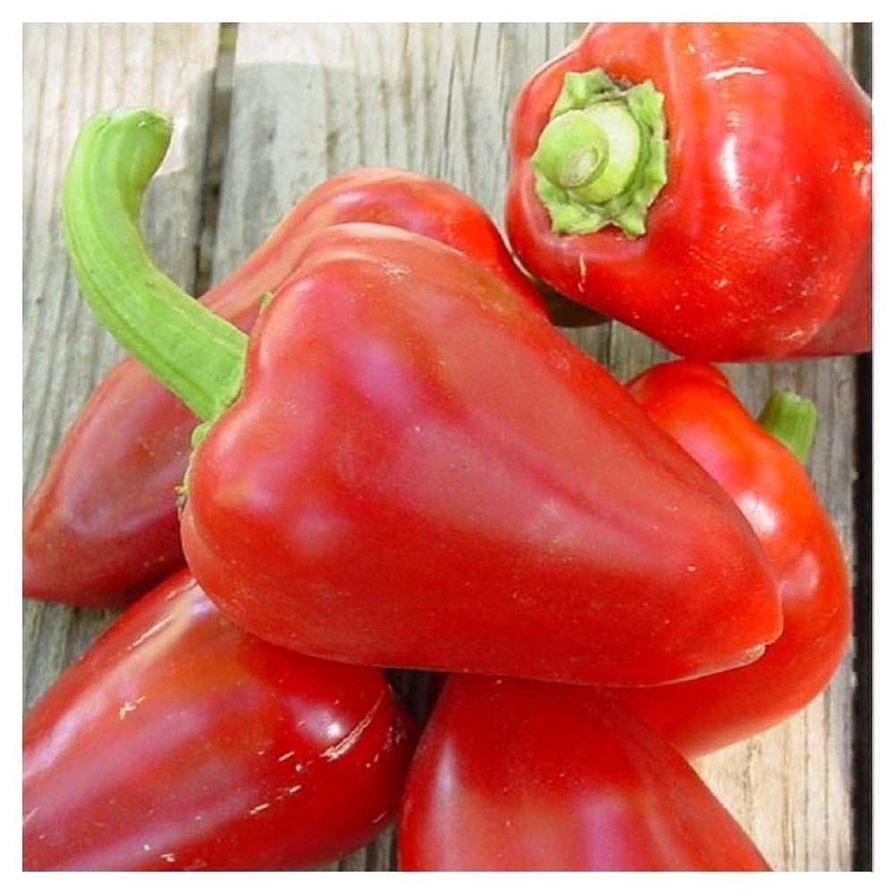Piante & sementi: 30 Samen PIMENTO SWEET Paprika Süss – Nuovo (secondo la descrizione) da Ehrendingen venduto da VerveinaSamen 6